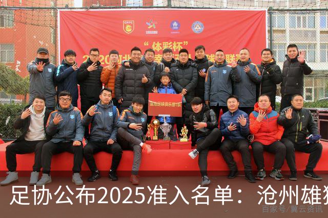 足协公布2025准入名单：沧州雄狮、广州队无缘